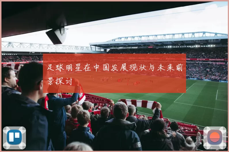 足球明星在中国发展现状与未来前景探讨