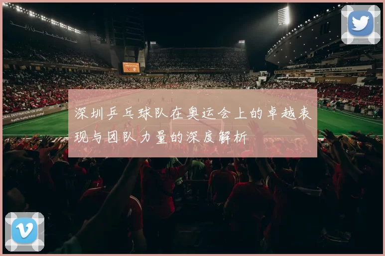 深圳乒乓球队在奥运会上的卓越表现与团队力量的深度解析