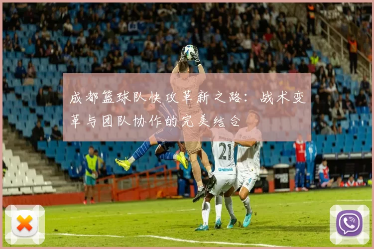 成都篮球队快攻革新之路：战术变革与团队协作的完美结合