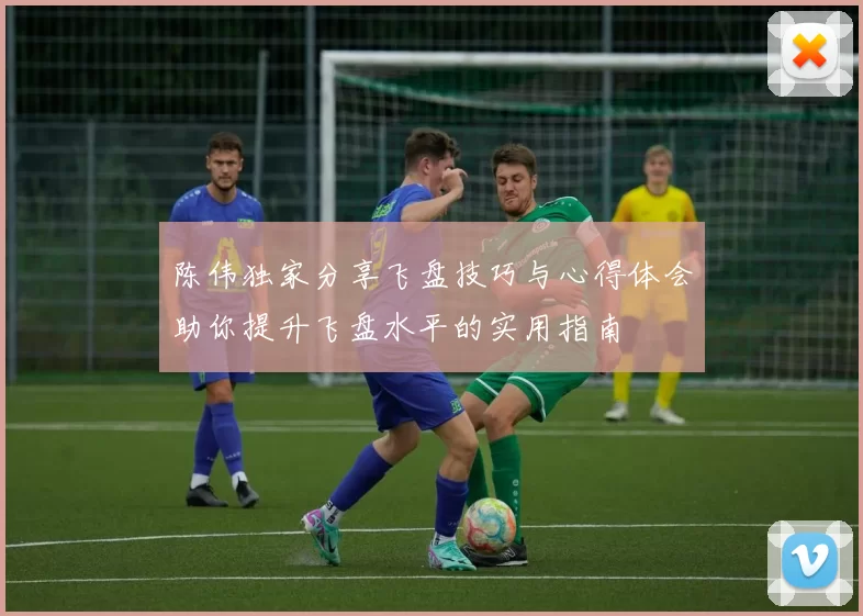 陈伟独家分享飞盘技巧与心得体会助你提升飞盘水平的实用指南
