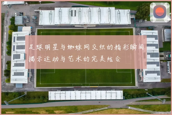 足球明星与蜘蛛网交织的精彩瞬间揭示运动与艺术的完美结合