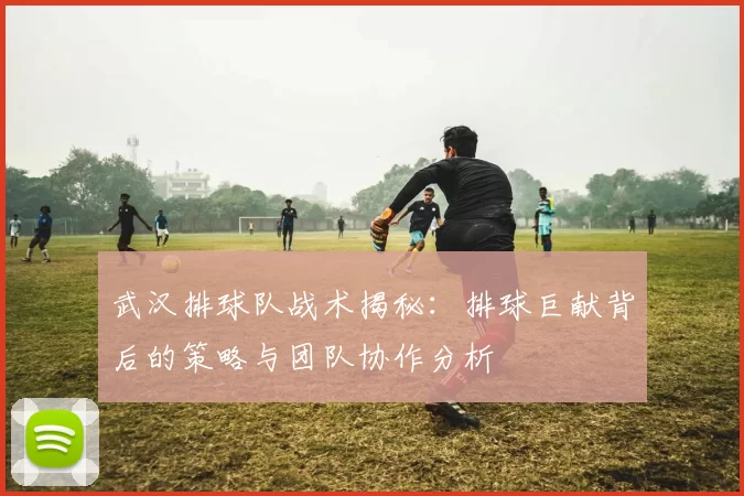 武汉排球队战术揭秘：排球巨献背后的策略与团队协作分析
