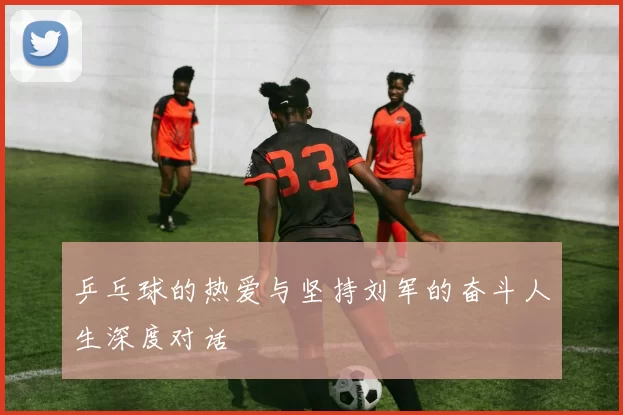 乒乓球的热爱与坚持刘军的奋斗人生深度对话