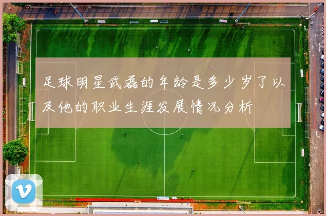 足球明星武磊的年龄是多少岁了以及他的职业生涯发展情况分析
