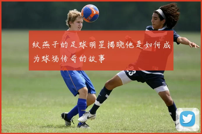 纹燕子的足球明星揭晓他是如何成为球场传奇的故事