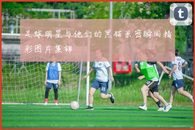 足球明星与他们的黑猫亲密瞬间精彩图片集锦