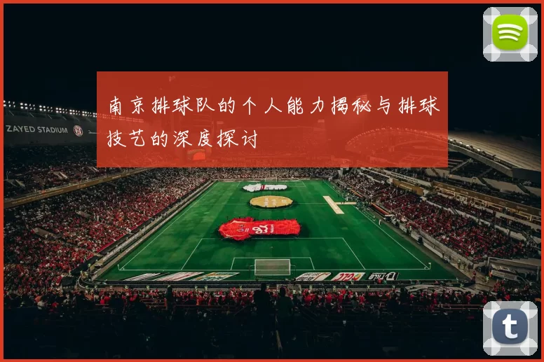 南京排球队的个人能力揭秘与排球技艺的深度探讨