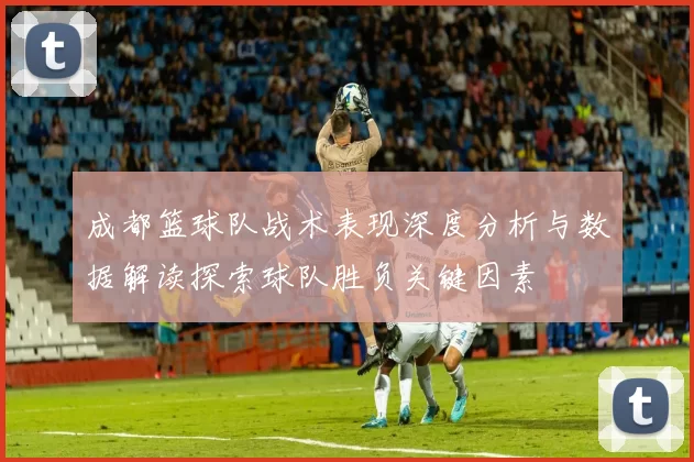 成都篮球队战术表现深度分析与数据解读探索球队胜负关键因素