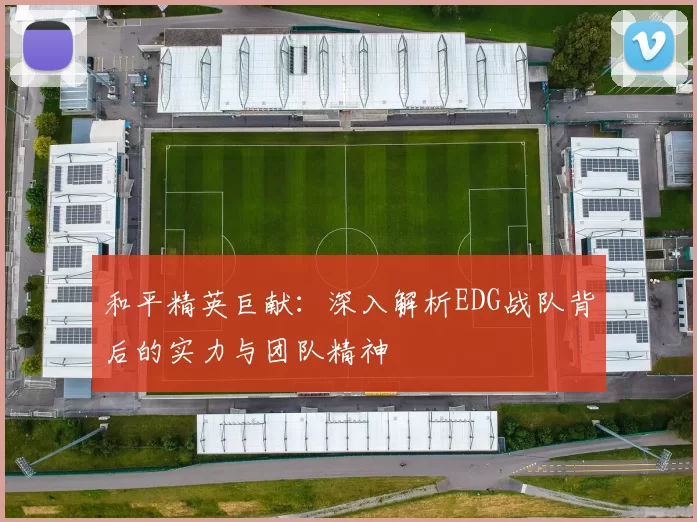 和平精英巨献：深入解析EDG战队背后的实力与团队精神