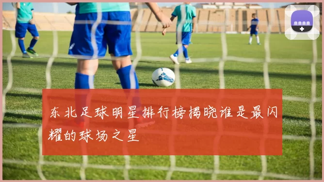 东北足球明星排行榜揭晓谁是最闪耀的球场之星