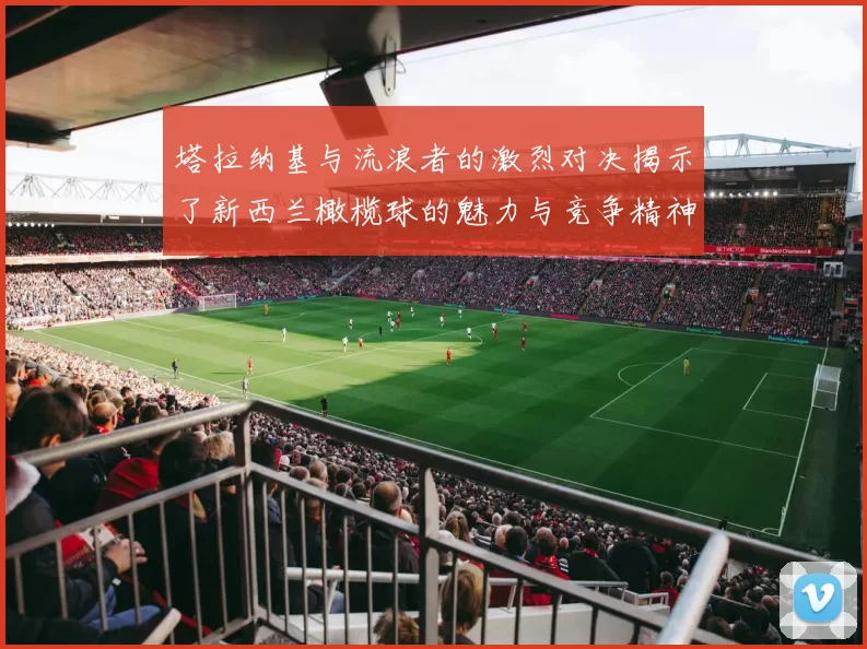 塔拉纳基与流浪者的激烈对决揭示了新西兰橄榄球的魅力与竞争精神