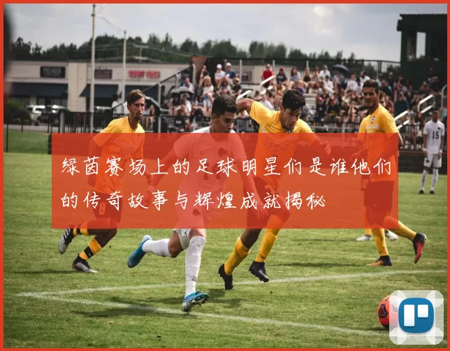 绿茵赛场上的足球明星们是谁他们的传奇故事与辉煌成就揭秘