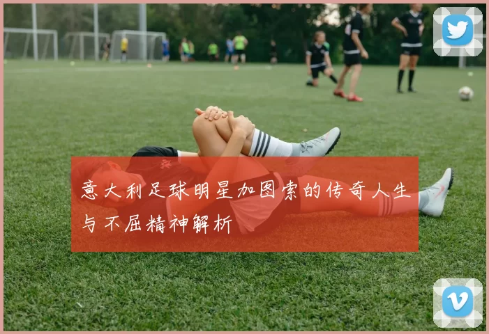 意大利足球明星加图索的传奇人生与不屈精神解析