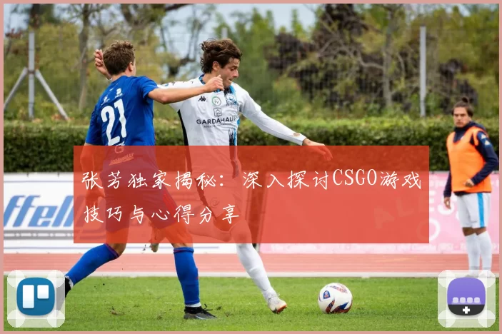 张芳独家揭秘：深入探讨CSGO游戏技巧与心得分享
