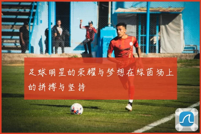 足球明星的荣耀与梦想在绿茵场上的拼搏与坚持