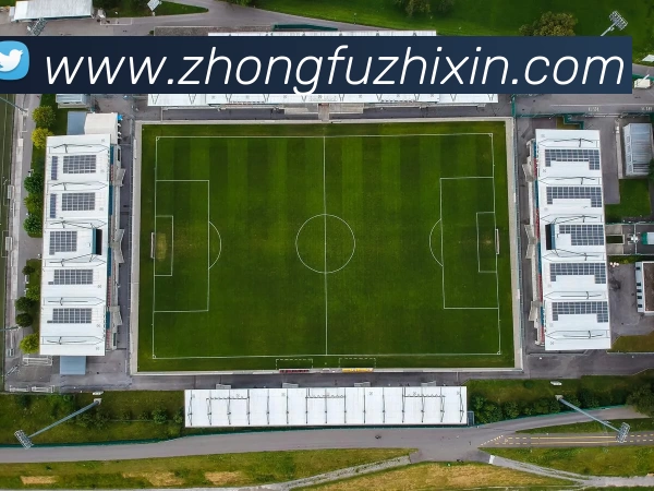数据防护可视化